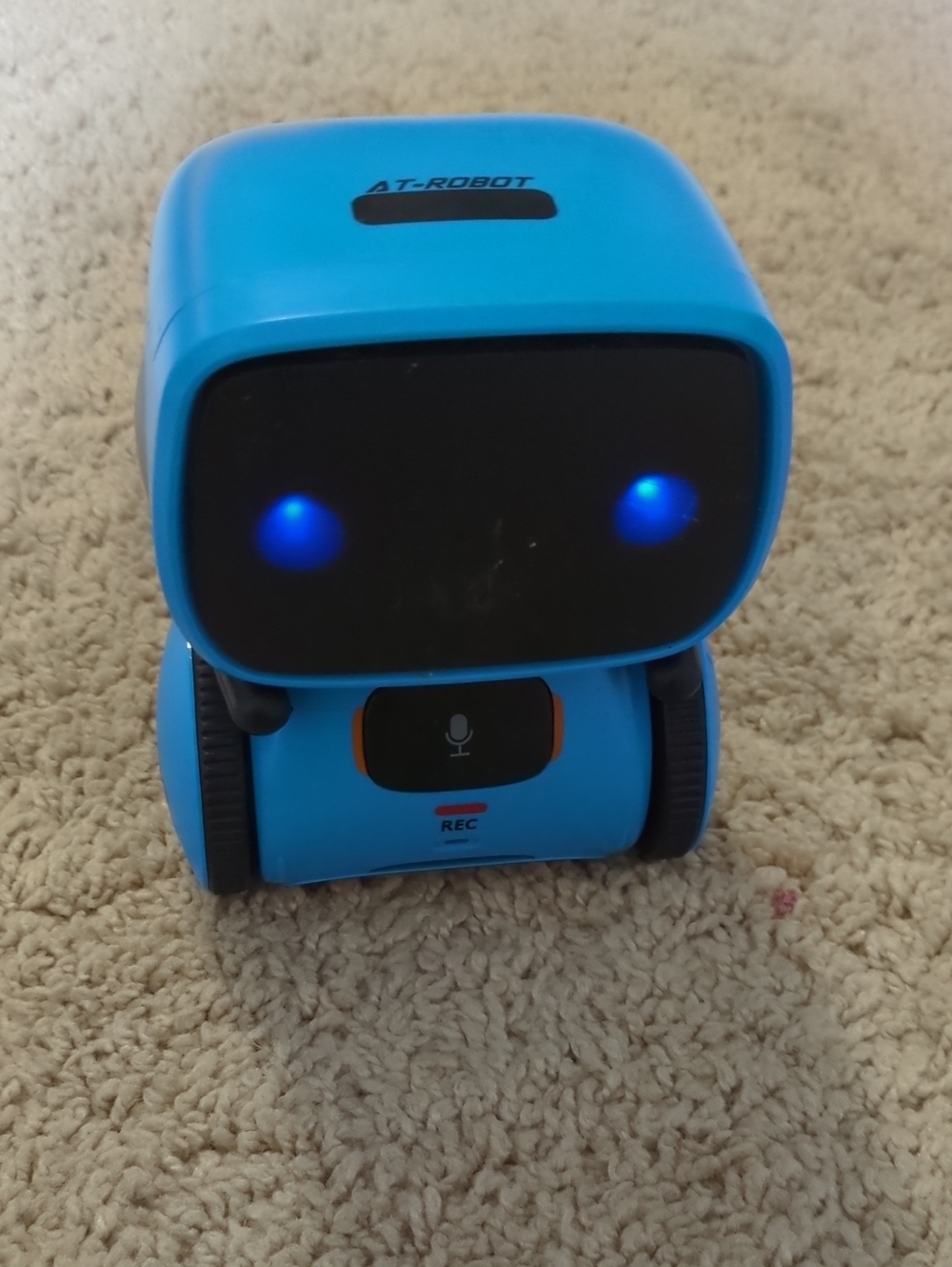 Working Interactive Robot Toy